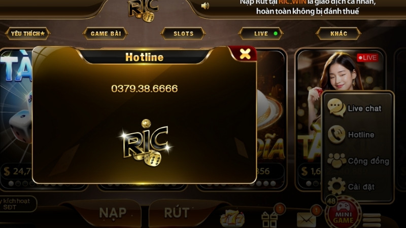 Cách kênh hỗ trợ RICWIN mới nhất