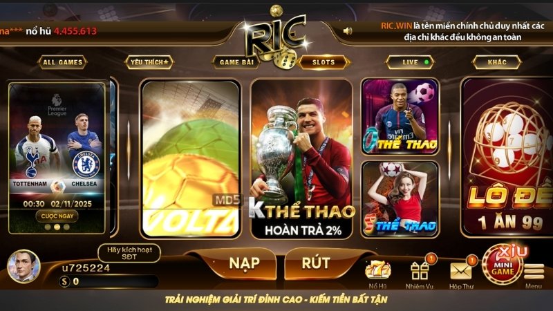 Giới thiệu những sản phẩm chất lượng trên RICWIN