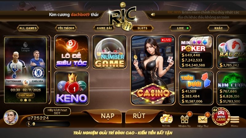 Giới thiệu RICWIN với những thông tin chung