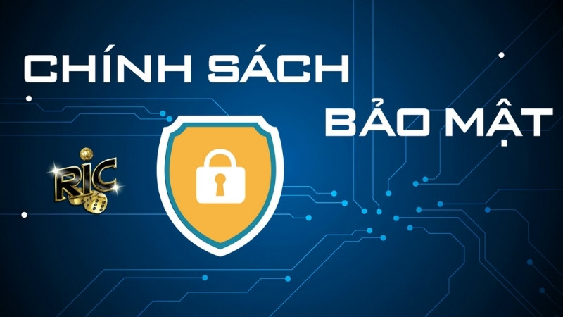 Những nội dung có trong chính sách bảo mật RICWIN